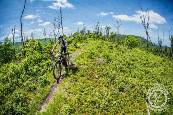 Emily Shields in a wide open part of the Tussey Ridgeline Trails