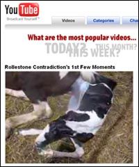 foalcambdmain.jpg