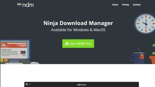 Website screenshot for Ninja Download Manager.