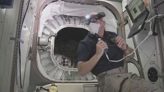 NASA astronaut Jeff Williams floats in front of the entrance to the Bigelow Expandable Activity Module (BEAM) on June 6, 2016.