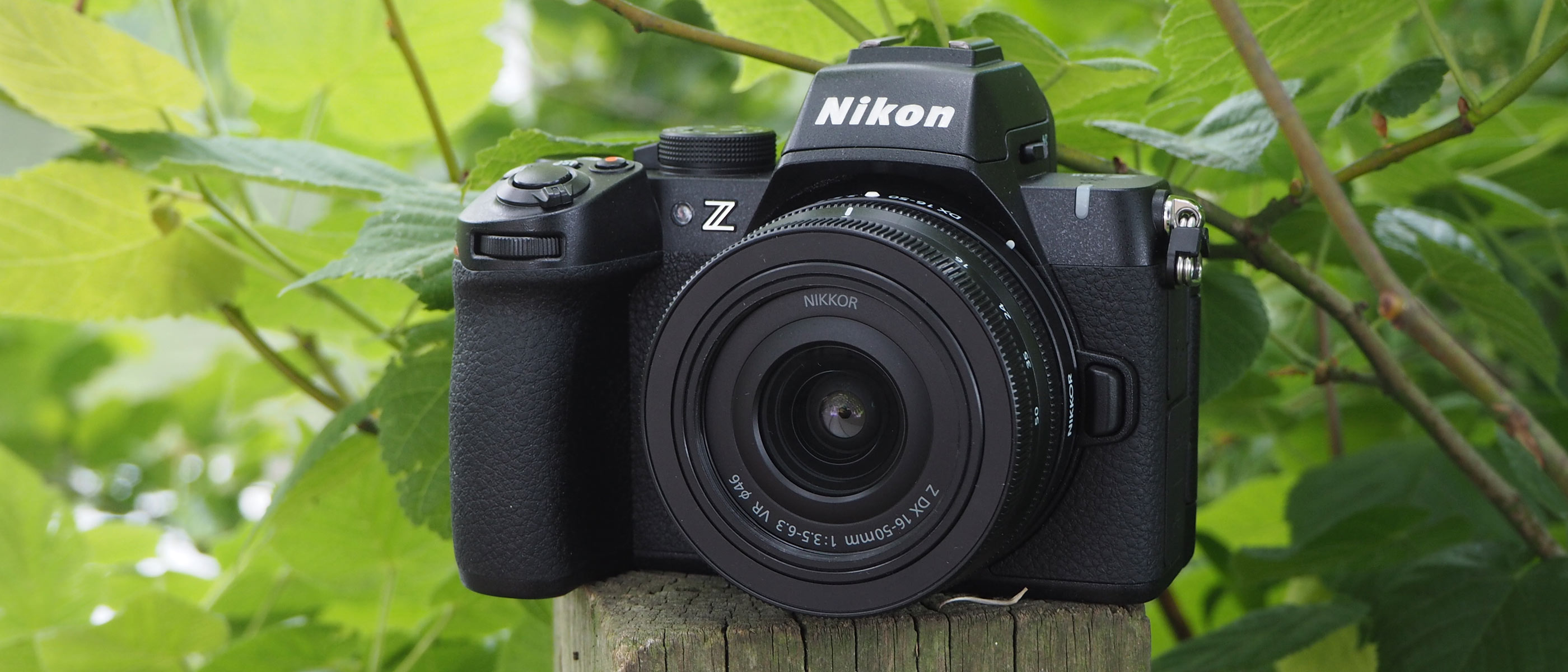 The Nikon Z50 II on a fence post with foliage in the background.