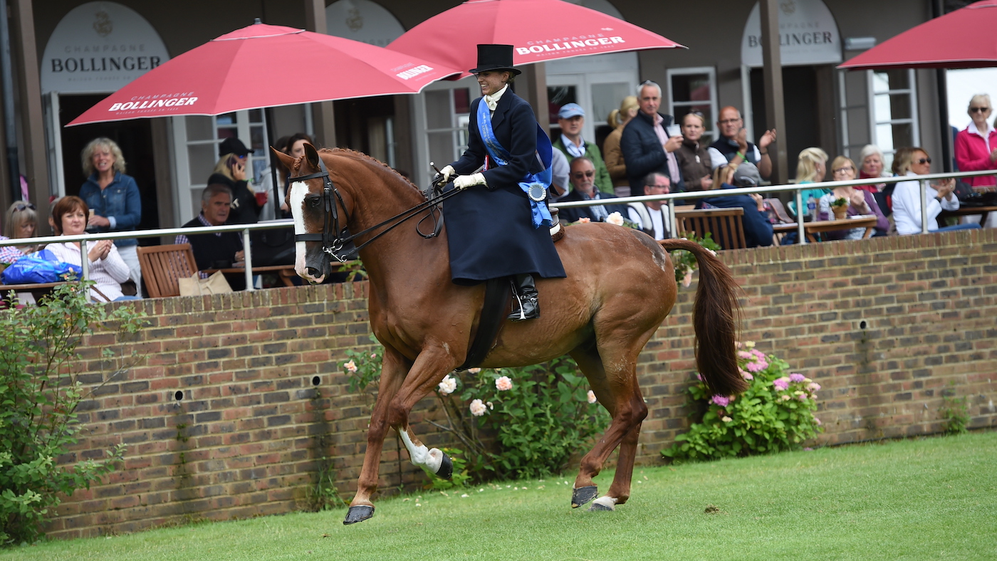Ladies' show horse champion