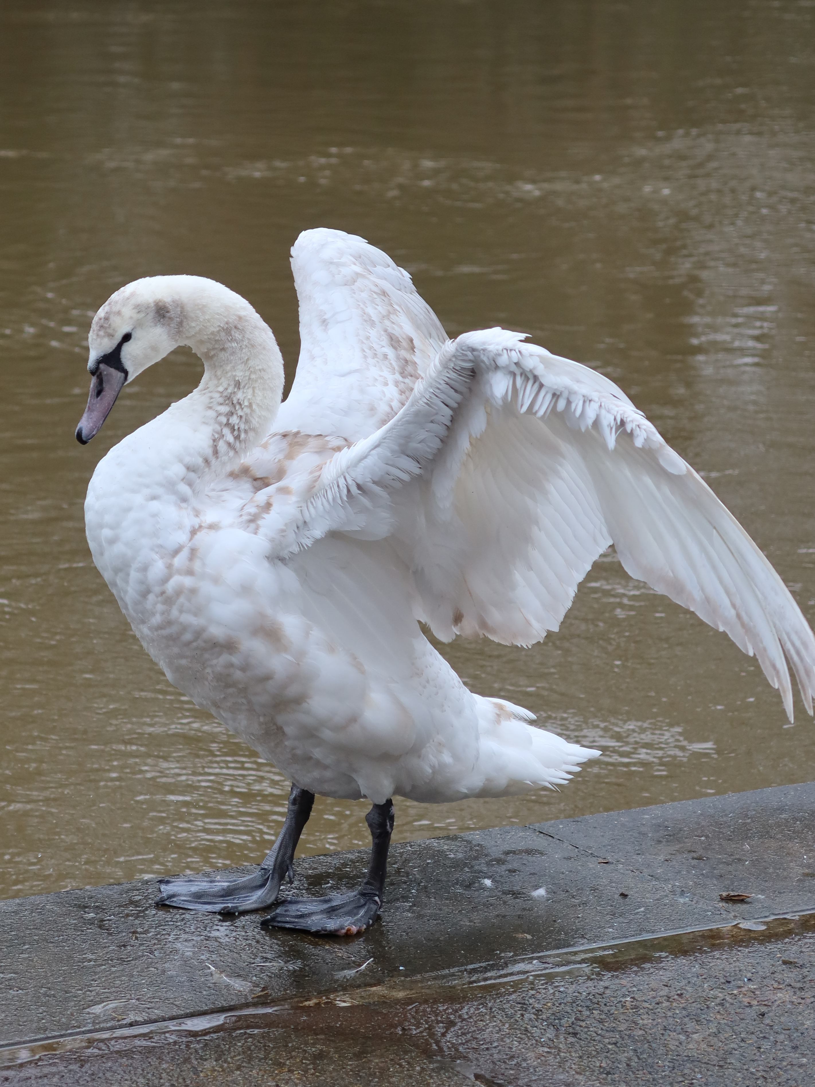 A photo taken on a Canon PowerShot G7 X Mark III compact camera