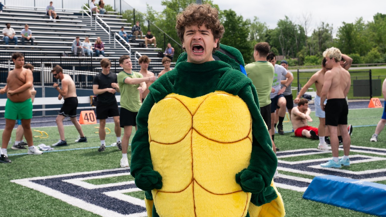 Gaten Matarazzo screaming and dressed a turtle. 