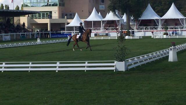 Vinnie doing his dressage