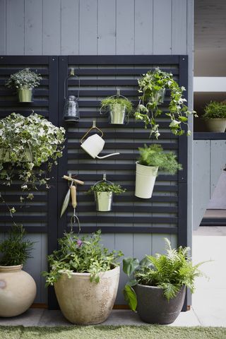 vertical screen with plant pots, watering can and tools on the screen