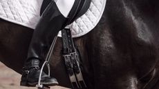 Horse tacked up with a short dressage girth