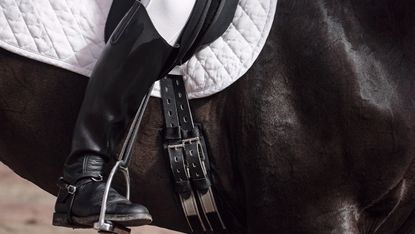 Horse tacked up with a short dressage girth