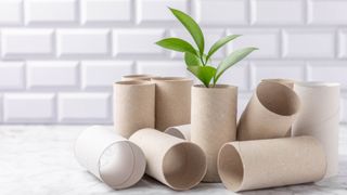 Toilet rolls on white table with white background