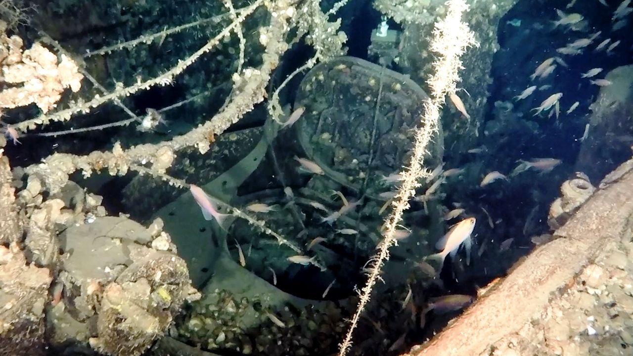 An underwater submarine wreck with fish swimming around