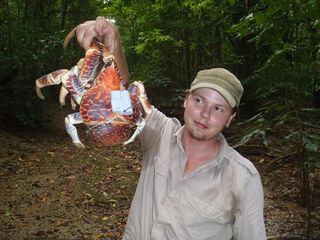 Research Jakob Krieger holding a giant robber crab tagged with a GPS tracking device. 
