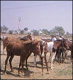 502FEB96-99A8-40F9-BDA2-F9577BF4EA65.jpg