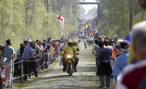 A Mavic neutral support motorcycle heads through the Arenberg Forest.