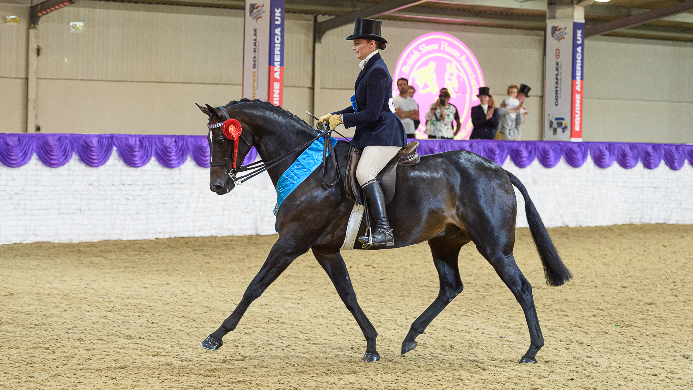 AM OR Supreme Champ - Lizzie Smith and YOUNG LOCHINVAR