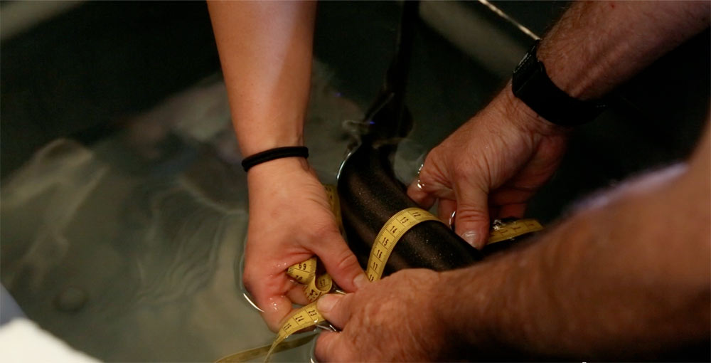 The California Academy of Sciences introduced a group of pyjama sharks to its popular African Penguin exhibit. The two species are natural neighbors off the coast of South Africa.