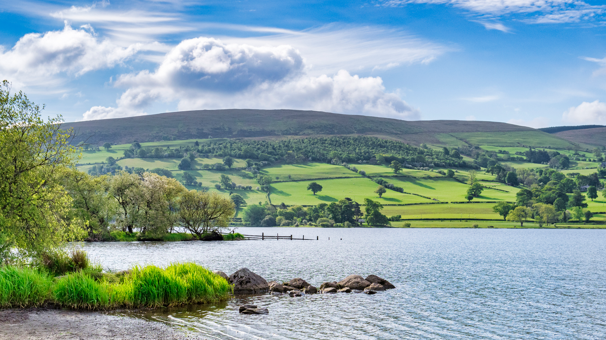 Llyn Tegid