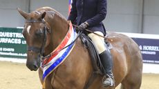 Ranchella-Rolex-thumb_payment-to-equinational.jpg