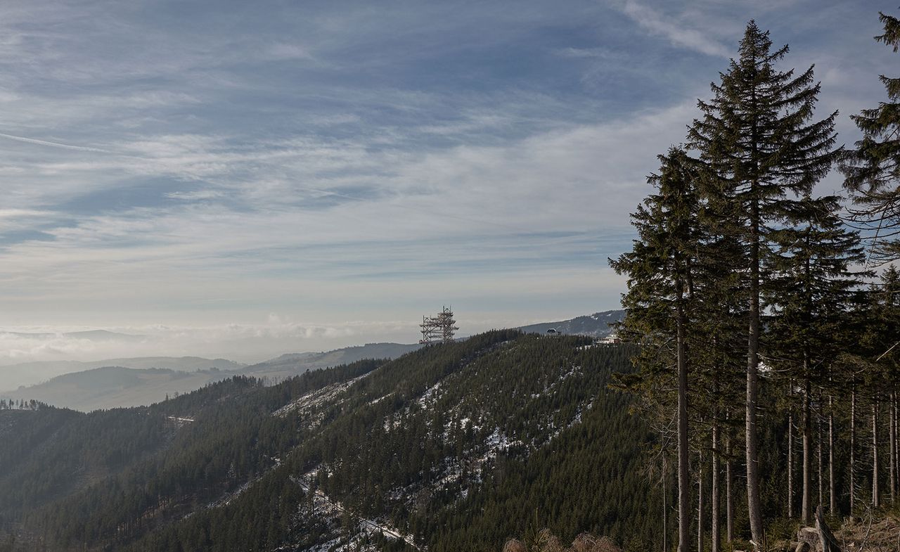 statuesque viewing structure in the heart of the Czech mountains