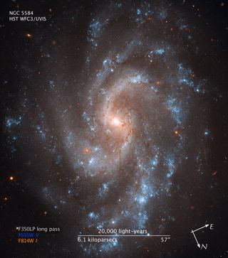 Blue young stars shine in the spiral arms of galaxy NGC 5584, as shown by this Hubble Space Telescope image. Thin, dark dust lanes flow from the yellowish core, filled with older stars. The reddish dots throughout the image are largely background galaxies