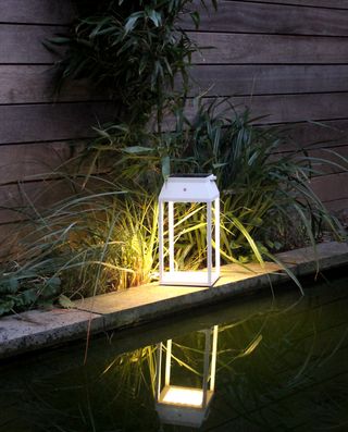 a solar power garden light by a pond