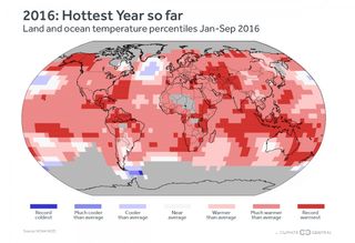 The year-to-date heat has the world on track for its hottest year on record.