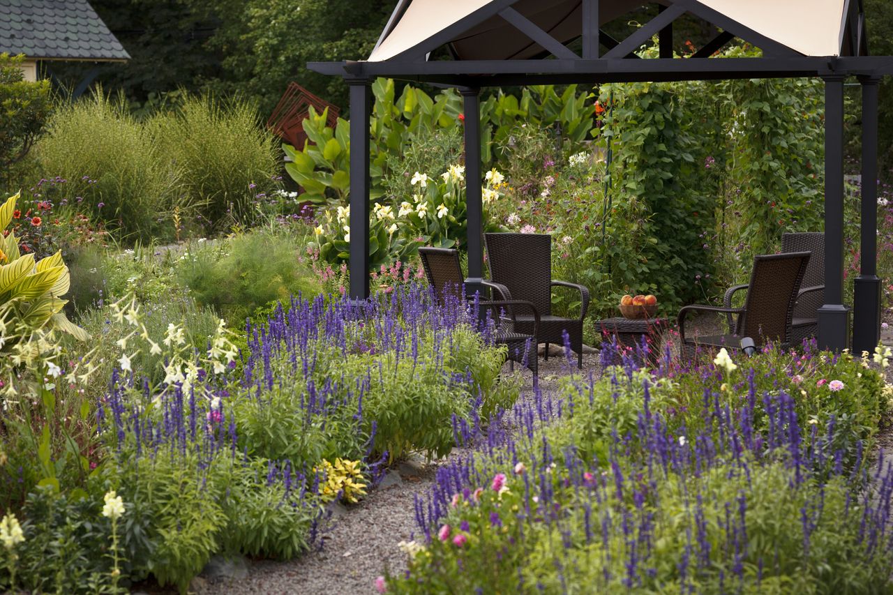 a backyard filled with lavender