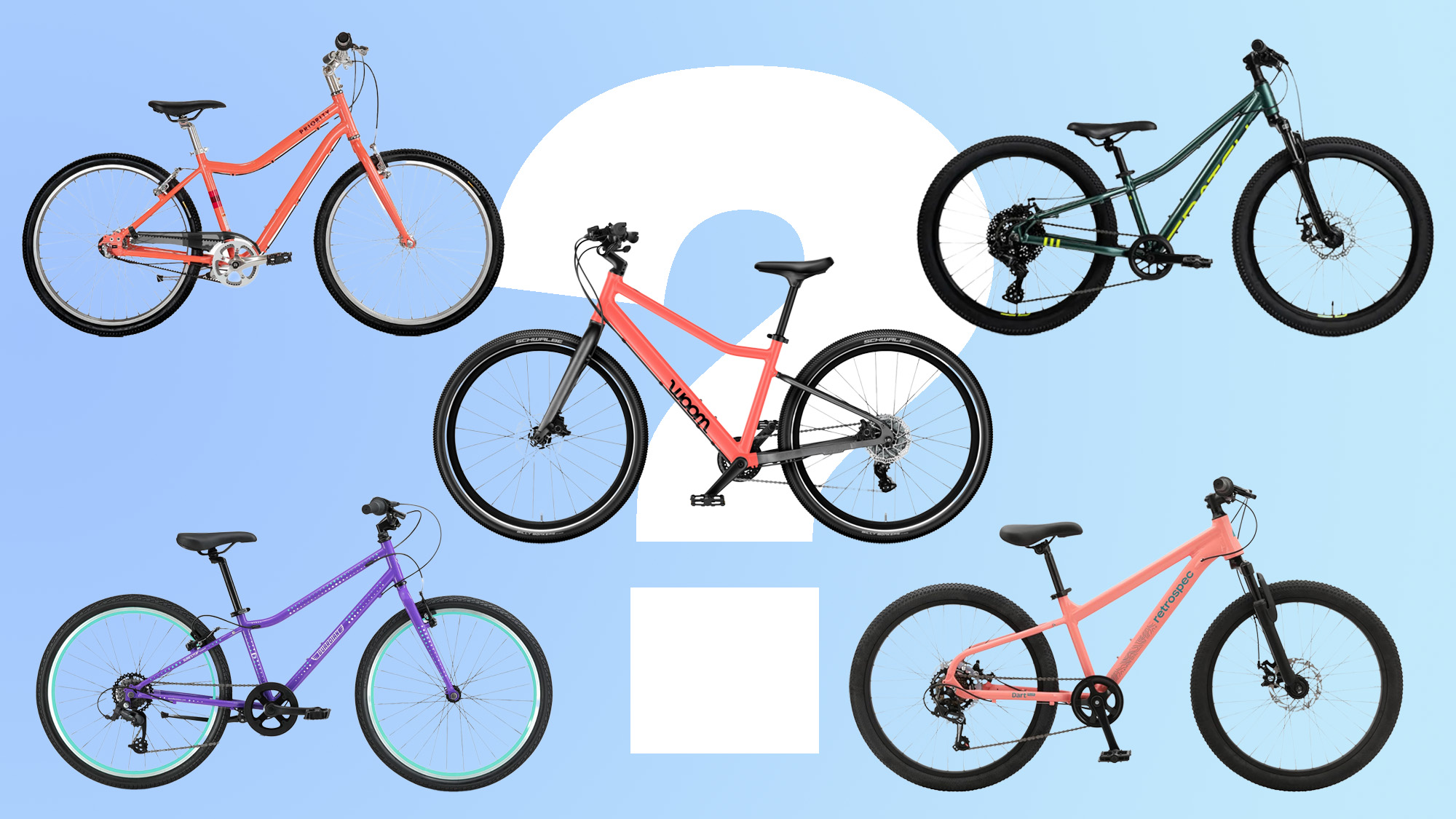 A group of kids bikes