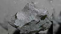 A fragment of the Hillsborough meteorite.