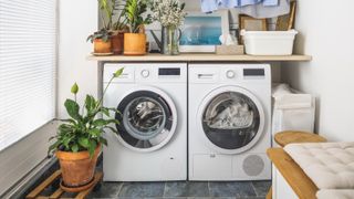 Washer and dryer in laundry room with plants