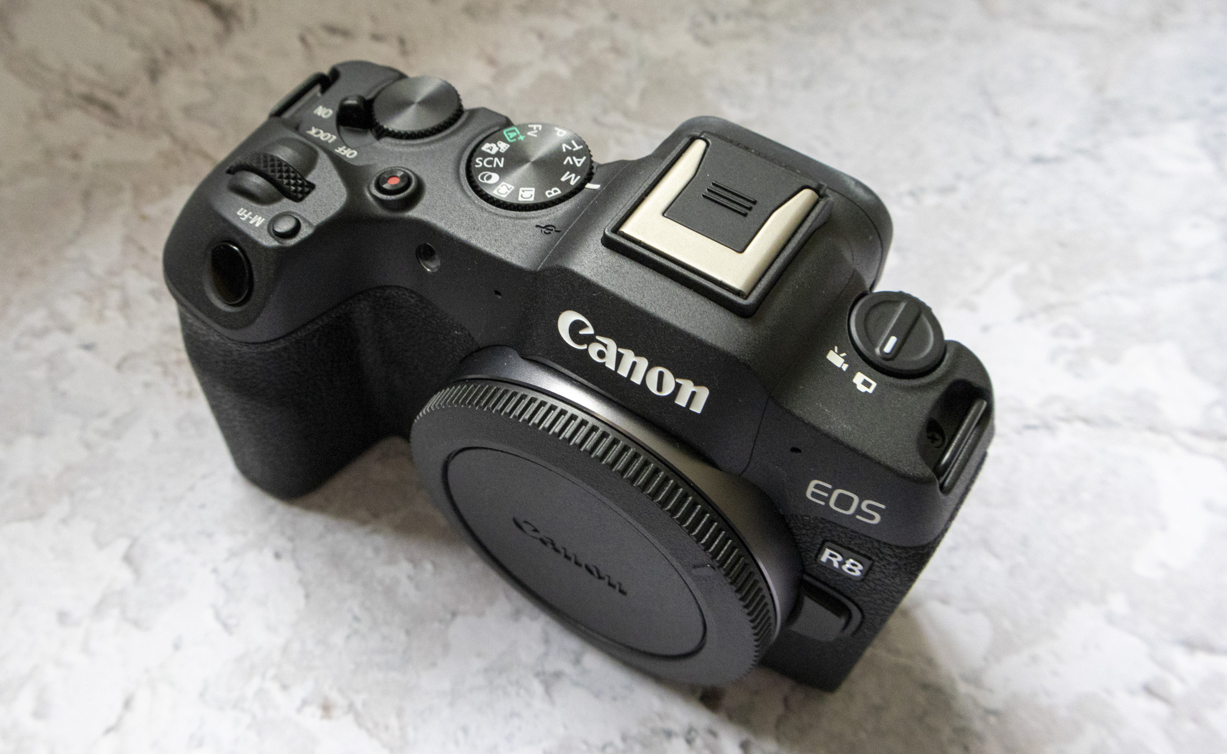 Canon EOS R8 camera on table and closeup of top plate with plain background