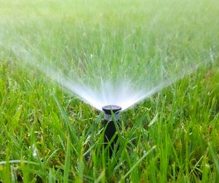 Sprinkler head watering a lawn