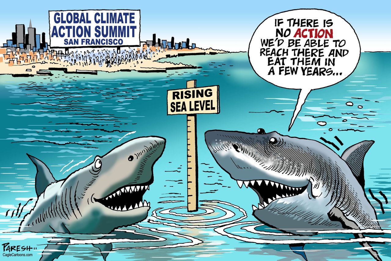 World sharks climate action summit global warming climate change