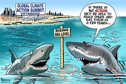 World sharks climate action summit global warming climate change