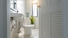 White toilet in neutral bathroom with snake plant and wooden door