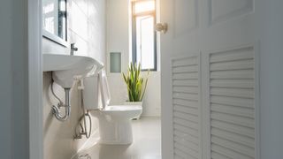 How To Unclog A Toilet Without A Plunger (2024 Guide) – Forbes Home