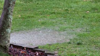 A waterlogged lawn