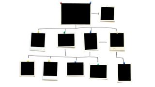 Alternative Family Tree Ideas: Image shows web of polaroids attached with pushpins