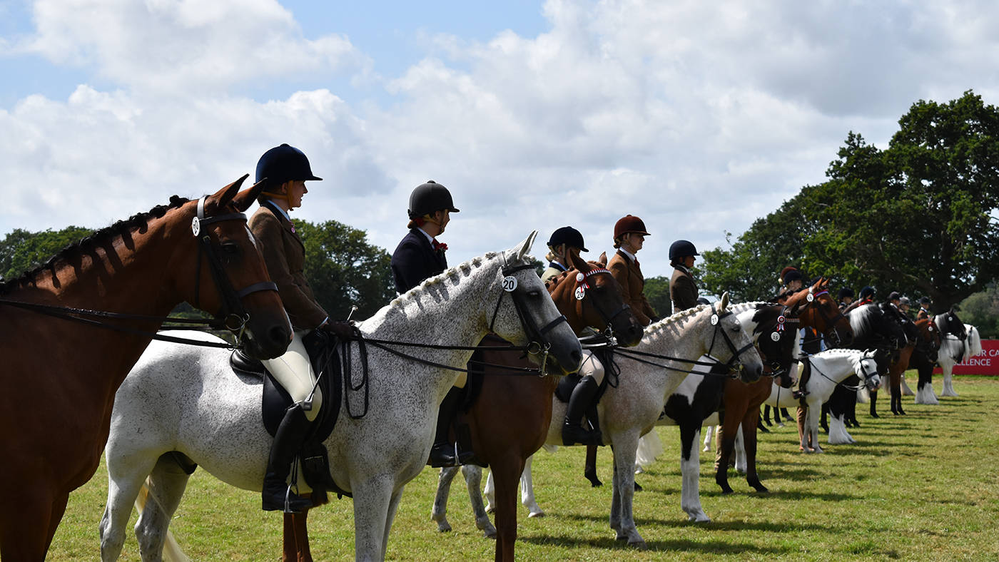 STOCK LINE Royal International Horse Show Judges 2024