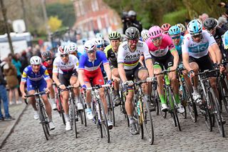 The Tour of Flanders peloton