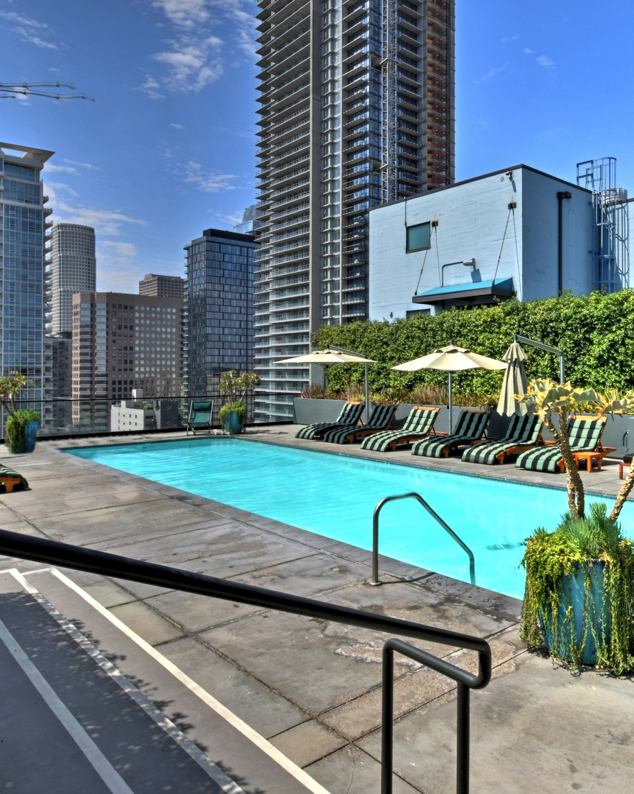 Swimming pool on LA rooftop