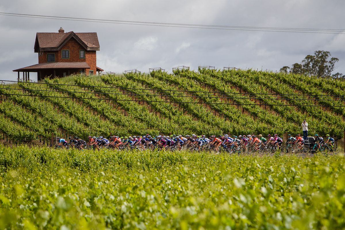 Today's race went through wine country around Santa Rosa