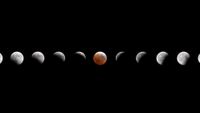 A composite image showing the small gray sphere of the moon across a dark night sky as it reaches various phases of a lunar eclipse. 