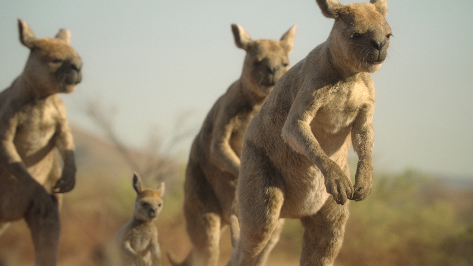 Stills from the natural history show Prehistoric Planet: Ice Age