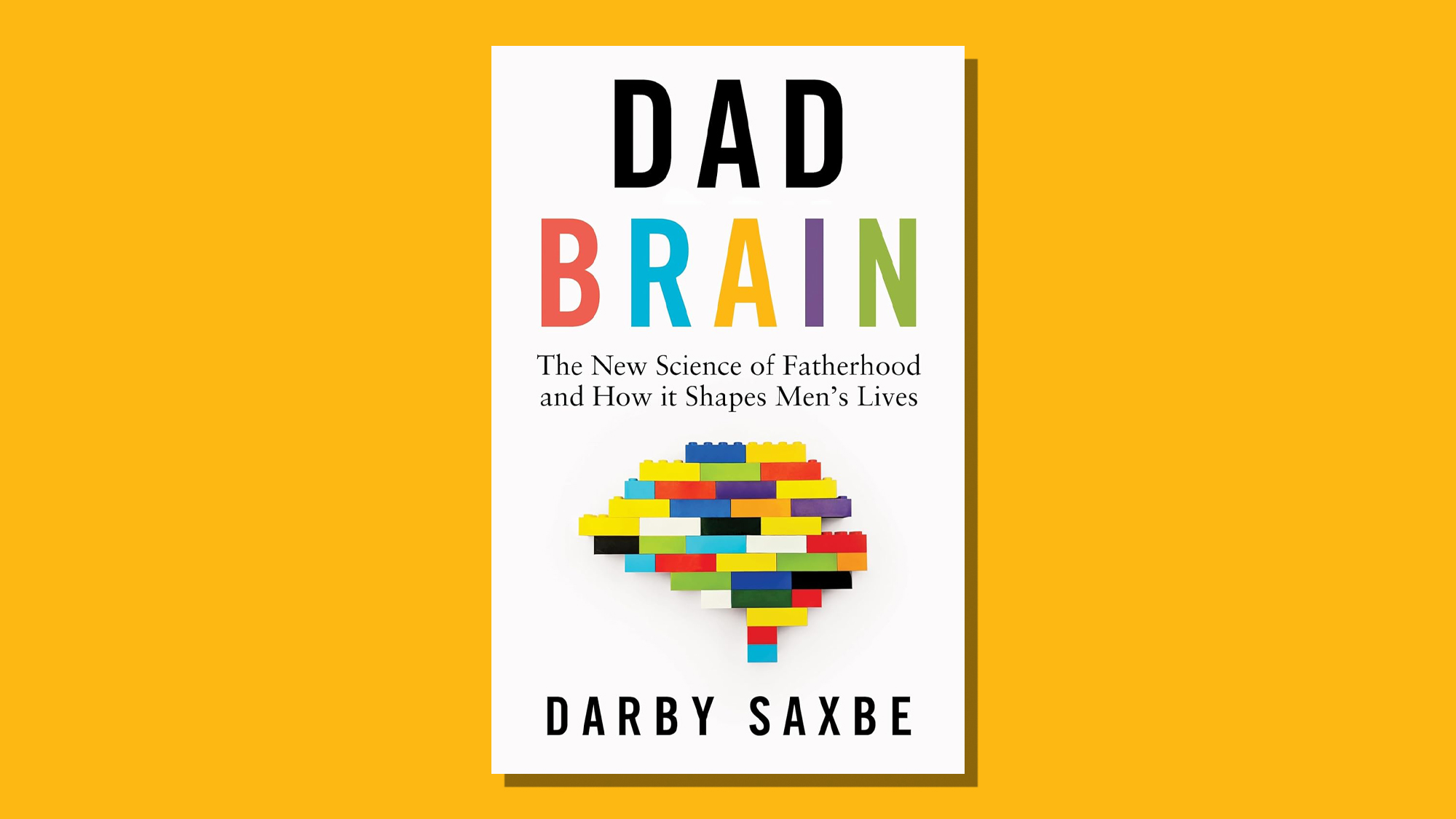 Book cover of Dad Brain