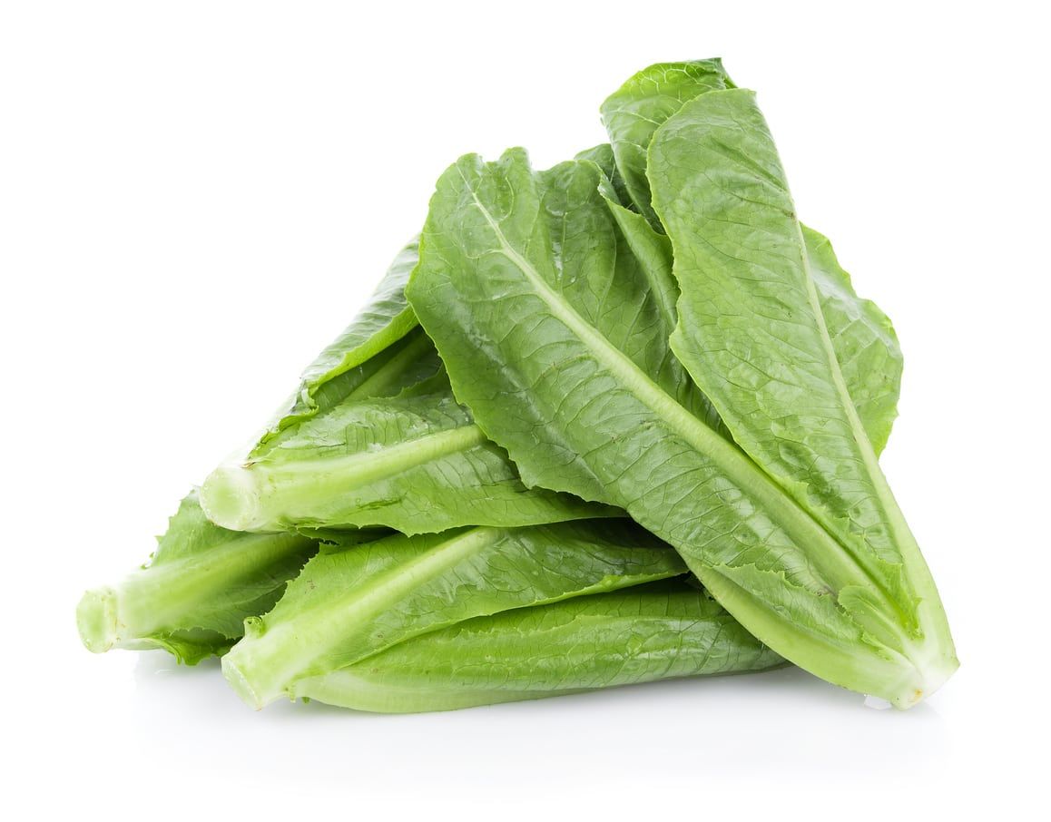 cos lettuce