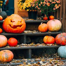 pumpkins on doorstep