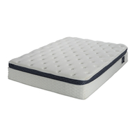 The WinkBed mattress: was
