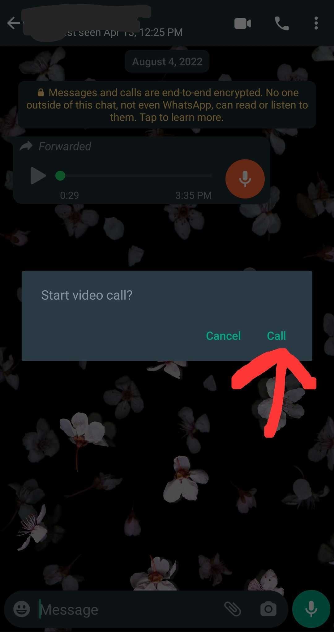 whatsapp video call screenshot