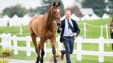 ThumbnailTownendOliverCooley-Master-ClassGBR-21Ma5brinkman10-12hi1-16136-2.jpg