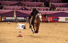 HOYS mounted games